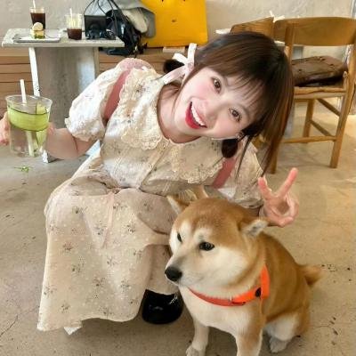 巅峰拍档第四季